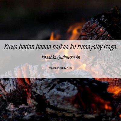 Picture 06 - Yooxanaa 10:42 SOM - Kuwa badan baana halkaa ku rumaystay - Bible Verse Picture