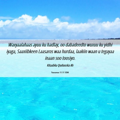Picture 06 - Yooxanaa 11:11 SOM - Waxyaalahaas ayuu ku hadlay, oo dabadeedto wuxuu - Bible Verse Picture