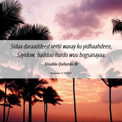 Picture 06 - Yooxanaa 11:12 SOM - Sidaa daraaddeed xertii waxay ku yidhaahdeen, - Bible Verse Picture