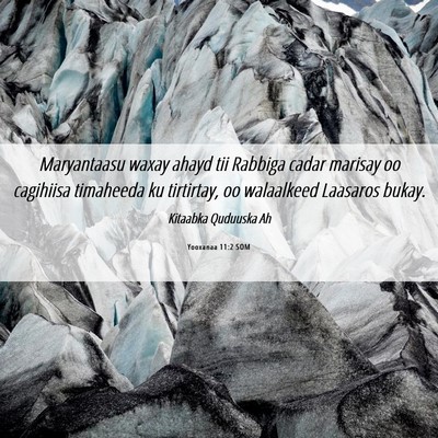Picture 06 - Yooxanaa 11:2 SOM - Maryantaasu waxay ahayd tii Rabbiga cadar marisay - Bible Verse Picture