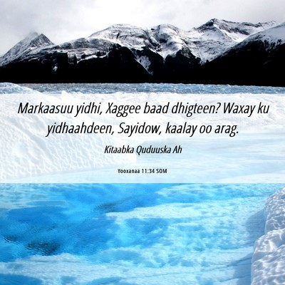 Picture 06 - Yooxanaa 11:34 SOM - Markaasuu yidhi, Xaggee baad dhigteen? Waxay ku - Bible Verse Picture