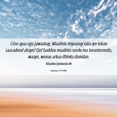 Picture 06 - Yooxanaa 11:9 SOM - Ciise ayaa ugu jawaabay, Maalintu miyaanay laba - Bible Verse Picture