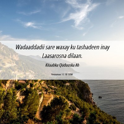 Picture 06 - Yooxanaa 12:10 SOM - Wadaaddadii sare waxay ku tashadeen inay - Bible Verse Picture
