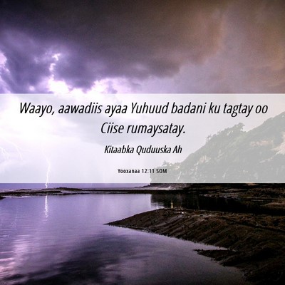 Picture 06 - Yooxanaa 12:11 SOM - Waayo, aawadiis ayaa Yuhuud badani ku tagtay oo - Bible Verse Picture