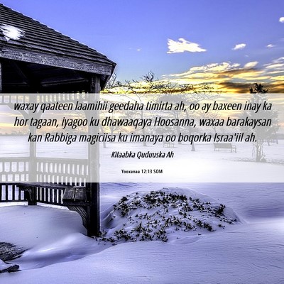 Picture 06 - Yooxanaa 12:13 SOM - waxay qaateen laamihii geedaha timirta ah, oo ay - Bible Verse Picture