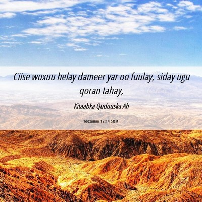 Picture 06 - Yooxanaa 12:14 SOM - Ciise wuxuu helay dameer yar oo fuulay, siday ugu - Bible Verse Picture