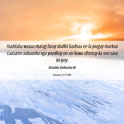 Picture 06 - Yooxanaa 12:17 SOM - Haddaba waxaa marag furay dadkii badnaa ee la - Bible Verse Picture