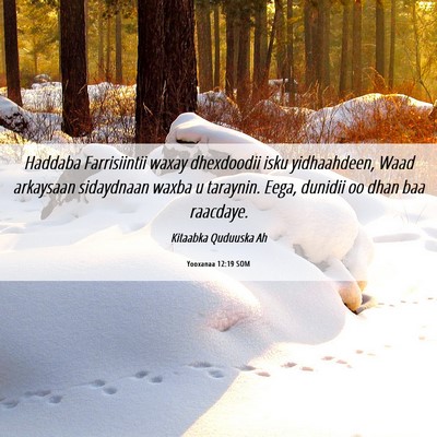 Picture 06 - Yooxanaa 12:19 SOM - Haddaba Farrisiintii waxay dhexdoodii isku - Bible Verse Picture