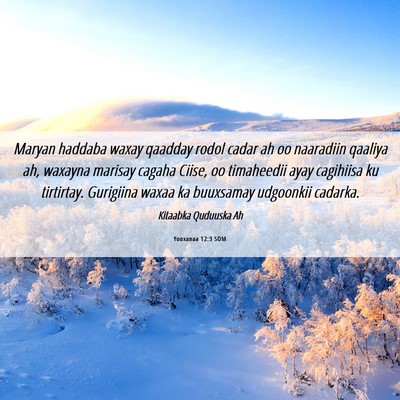 Picture 06 - Yooxanaa 12:3 SOM - Maryan haddaba waxay qaadday rodol cadar ah oo - Bible Verse Picture