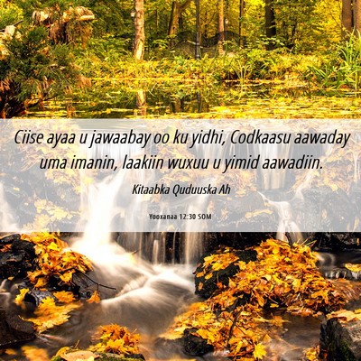 Picture 06 - Yooxanaa 12:30 SOM - Ciise ayaa u jawaabay oo ku yidhi, Codkaasu - Bible Verse Picture