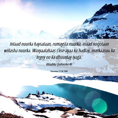 Picture 06 - Yooxanaa 12:36 SOM - Intaad nuurka haysataan, rumaysta nuurka, inaad - Bible Verse Picture
