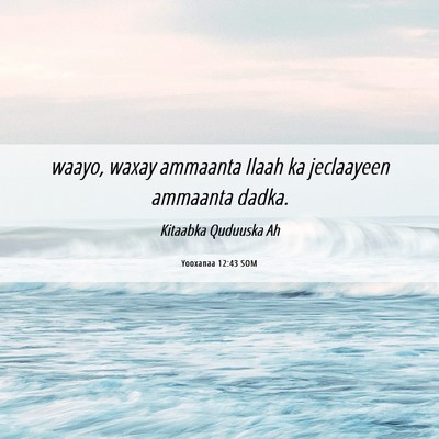 Picture 06 - Yooxanaa 12:43 SOM - waayo, waxay ammaanta Ilaah ka jeclaayeen - Bible Verse Picture