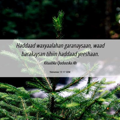 Picture 06 - Yooxanaa 13:17 SOM - Haddaad waxyaalahan garanaysaan, waad barakaysan - Bible Verse Picture