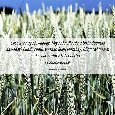 Picture 06 - Yooxanaa 13:38 SOM - Ciise ayaa ugu jawaabay, Miyaad naftaada u bixin - Bible Verse Picture