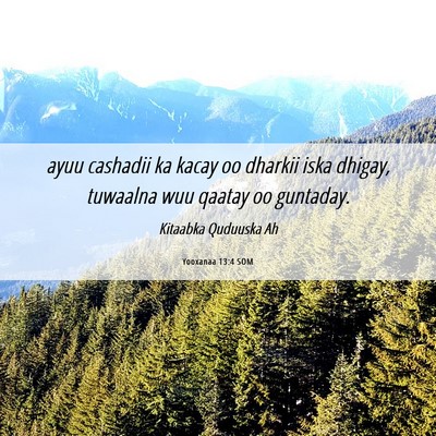 Picture 06 - Yooxanaa 13:4 SOM - ayuu cashadii ka kacay oo dharkii iska dhigay, - Bible Verse Picture