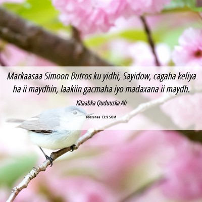 Picture 06 - Yooxanaa 13:9 SOM - Markaasaa Simoon Butros ku yidhi, Sayidow, cagaha - Bible Verse Picture