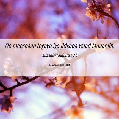 Picture 06 - Yooxanaa 14:4 SOM - Oo meeshaan tegayo iyo jidkaba waad - Bible Verse Picture