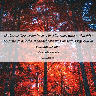 Picture 06 - Yooxanaa 14:6 SOM - Markaasaa Ciise wuxuu Toomas ku yidhi, Anigu - Bible Verse Picture