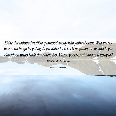 Picture 06 - Yooxanaa 16:17 SOM - Sidaa daraaddeed xertiisa qaarkood waxay isku - Bible Verse Picture