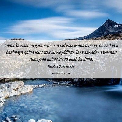 Picture 06 - Yooxanaa 16:30 SOM - Imminka waannu garanaynaa inaad wax walba taqaan, - Bible Verse Picture