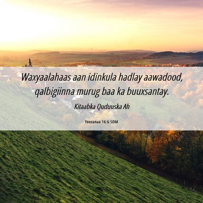 Picture 06 - Yooxanaa 16:6 SOM - Waxyaalahaas aan idinkula hadlay aawadood, - Bible Verse Picture