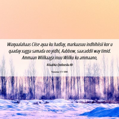 Picture 06 - Yooxanaa 17:1 SOM - Waxyaalahaas Ciise ayaa ku hadlay, markaasuu - Bible Verse Picture
