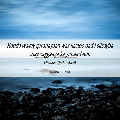 Picture 06 - Yooxanaa 17:7 SOM - Hadda waxay garanayaan wax kastoo aad i siisayba - Bible Verse Picture