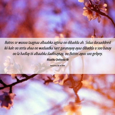 Picture 06 - Yooxanaa 18:16 SOM - Butros se wuxuu taagnaa albaabka agtiisa oo - Bible Verse Picture