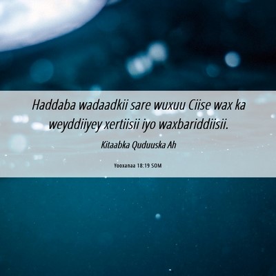 Picture 06 - Yooxanaa 18:19 SOM - Haddaba wadaadkii sare wuxuu Ciise wax ka - Bible Verse Picture
