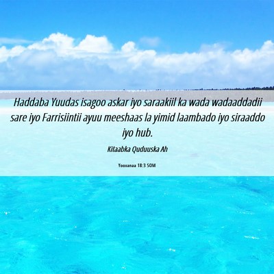 Picture 06 - Yooxanaa 18:3 SOM - Haddaba Yuudas isagoo askar iyo saraakiil ka wada - Bible Verse Picture