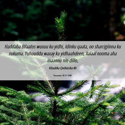 Picture 06 - Yooxanaa 18:31 SOM - Haddaba Bilaatos wuxuu ku yidhi, Idinku qaata, oo - Bible Verse Picture