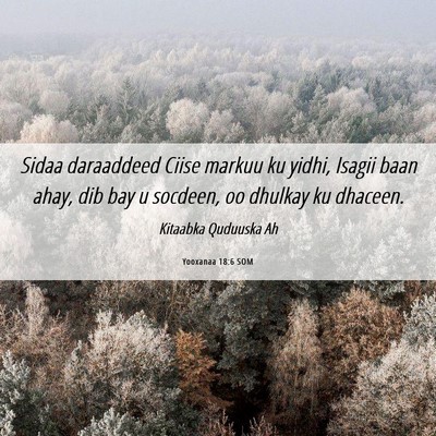 Picture 06 - Yooxanaa 18:6 SOM - Sidaa daraaddeed Ciise markuu ku yidhi, Isagii - Bible Verse Picture