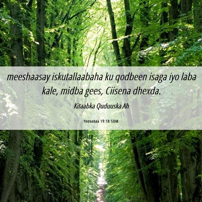 Picture 06 - Yooxanaa 19:18 SOM - meeshaasay iskutallaabaha ku qodbeen isaga iyo - Bible Verse Picture