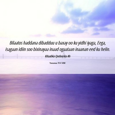 Picture 06 - Yooxanaa 19:4 SOM - Bilaatos haddana dibadduu u baxay oo ku yidhi - Bible Verse Picture