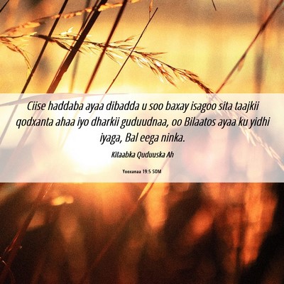 Picture 06 - Yooxanaa 19:5 SOM - Ciise haddaba ayaa dibadda u soo baxay isagoo - Bible Verse Picture