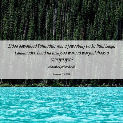 Picture 06 - Yooxanaa 2:18 SOM - Sidaa aawadeed Yuhuuddu waa u jawaabtay oo ku - Bible Verse Picture