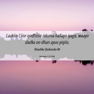 Picture 06 - Yooxanaa 2:24 SOM - Laakiin Ciise qudhiisu iskuma hallayn iyaga, - Bible Verse Picture