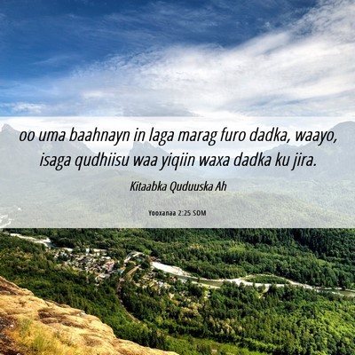 Picture 06 - Yooxanaa 2:25 SOM - oo uma baahnayn in laga marag furo dadka, waayo, - Bible Verse Picture