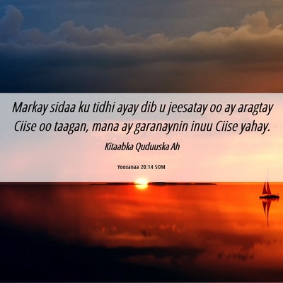 Picture 06 - Yooxanaa 20:14 SOM - Markay sidaa ku tidhi ayay dib u jeesatay oo ay - Bible Verse Picture