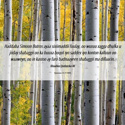 Picture 06 - Yooxanaa 21:11 SOM - Haddaba Simoon Butros ayaa sixiimaddii fuulay, oo - Bible Verse Picture