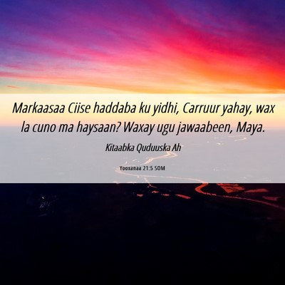 Picture 06 - Yooxanaa 21:5 SOM - Markaasaa Ciise haddaba ku yidhi, Carruur yahay, - Bible Verse Picture