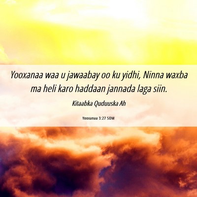 Picture 06 - Yooxanaa 3:27 SOM - Yooxanaa waa u jawaabay oo ku yidhi, Ninna waxba - Bible Verse Picture