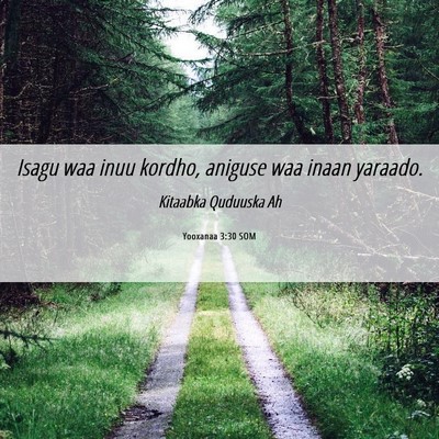 Picture 06 - Yooxanaa 3:30 SOM - Isagu waa inuu kordho, aniguse waa inaan - Bible Verse Picture