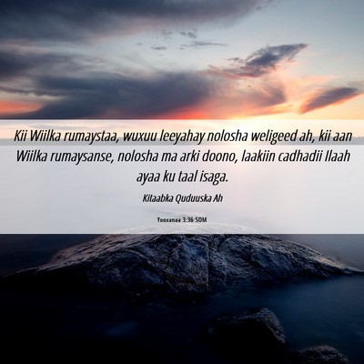 Picture 06 - Yooxanaa 3:36 SOM - Kii Wiilka rumaystaa, wuxuu leeyahay nolosha - Bible Verse Picture