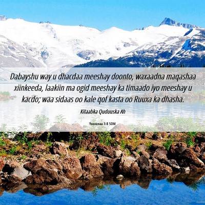 Picture 06 - Yooxanaa 3:8 SOM - Dabayshu way u dhacdaa meeshay doonto, waxaadna - Bible Verse Picture