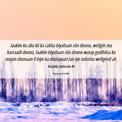 Picture 06 - Yooxanaa 4:14 SOM - laakiin ku alla kii ka cabba biyahaan siin doono, - Bible Verse Picture