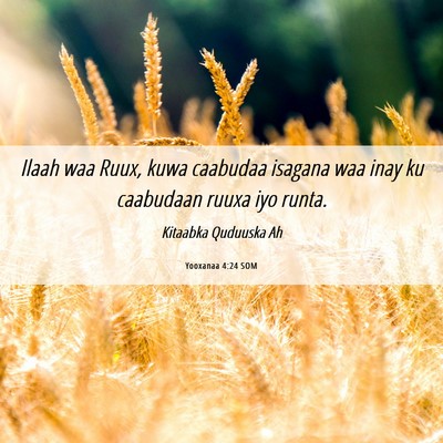 Picture 06 - Yooxanaa 4:24 SOM - Ilaah waa Ruux, kuwa caabudaa isagana waa inay ku - Bible Verse Picture