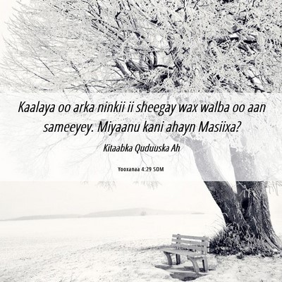 Picture 06 - Yooxanaa 4:29 SOM - Kaalaya oo arka ninkii ii sheegay wax walba oo - Bible Verse Picture