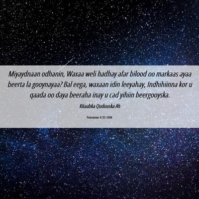 Picture 06 - Yooxanaa 4:35 SOM - Miyaydnaan odhanin, Waxaa weli hadhay afar bilood - Bible Verse Picture
