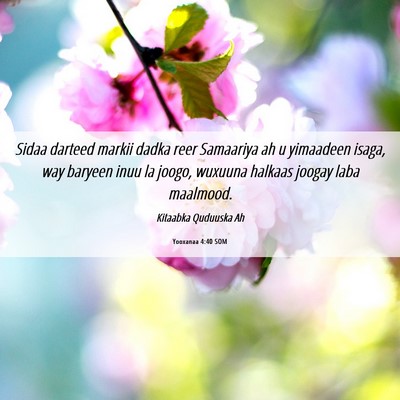 Picture 06 - Yooxanaa 4:40 SOM - Sidaa darteed markii dadka reer Samaariya ah u - Bible Verse Picture